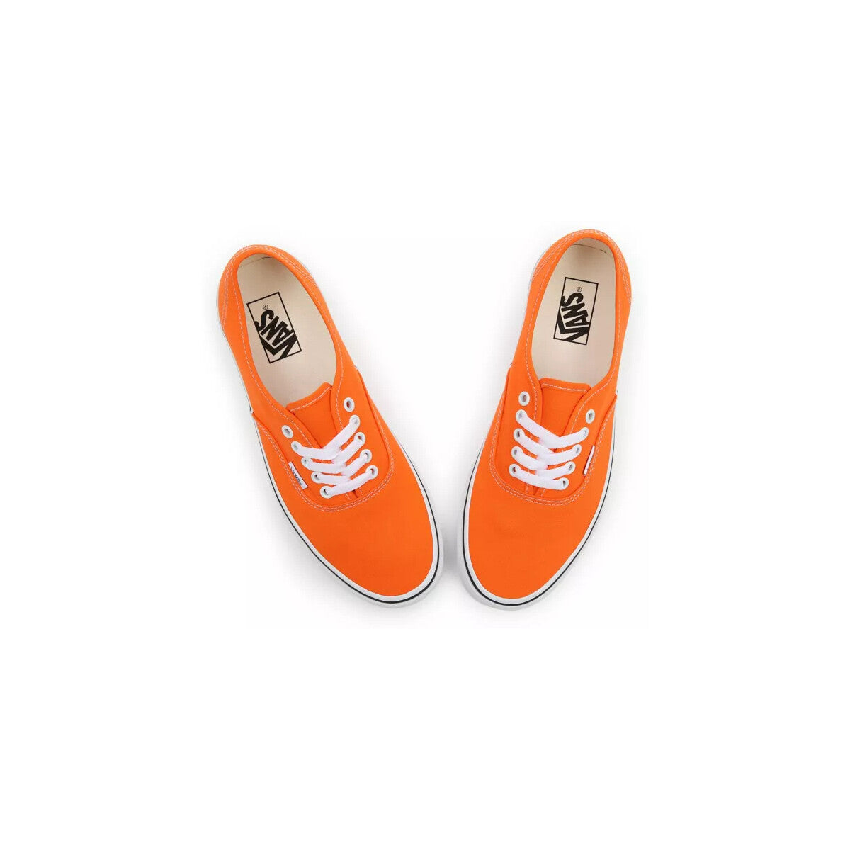 Authentic tiger/true white Orange