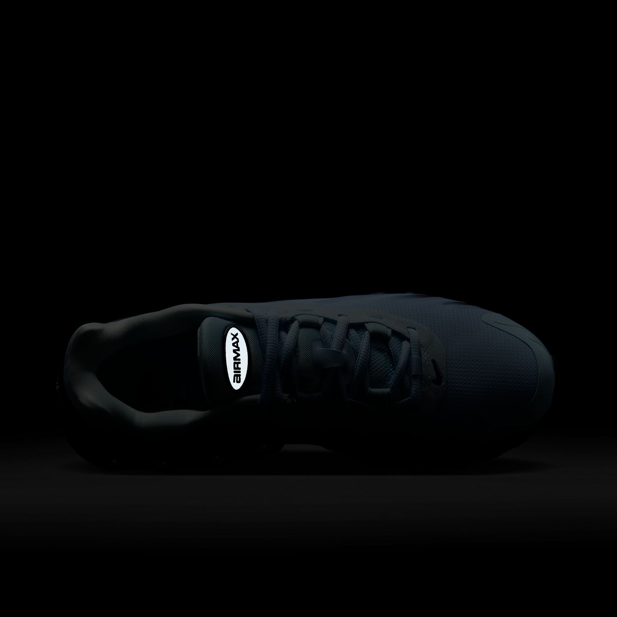 Air Max DN8 Cobalt Tint