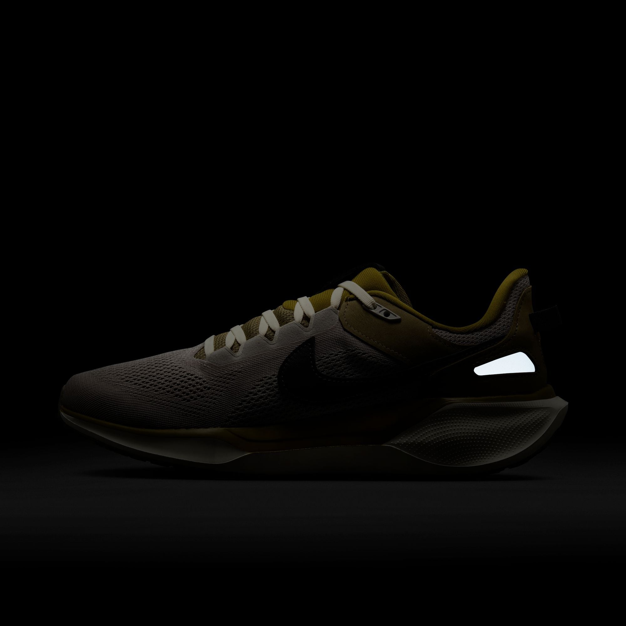 Air Zoom Pegasus 41 SP College Grey Anthracite