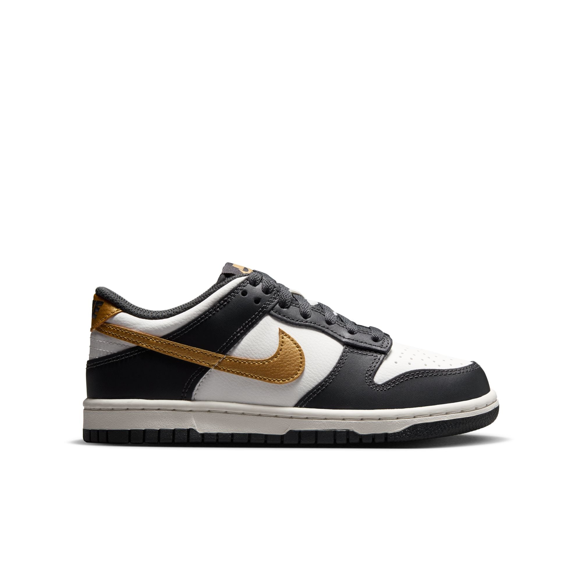Dunk Low GS
