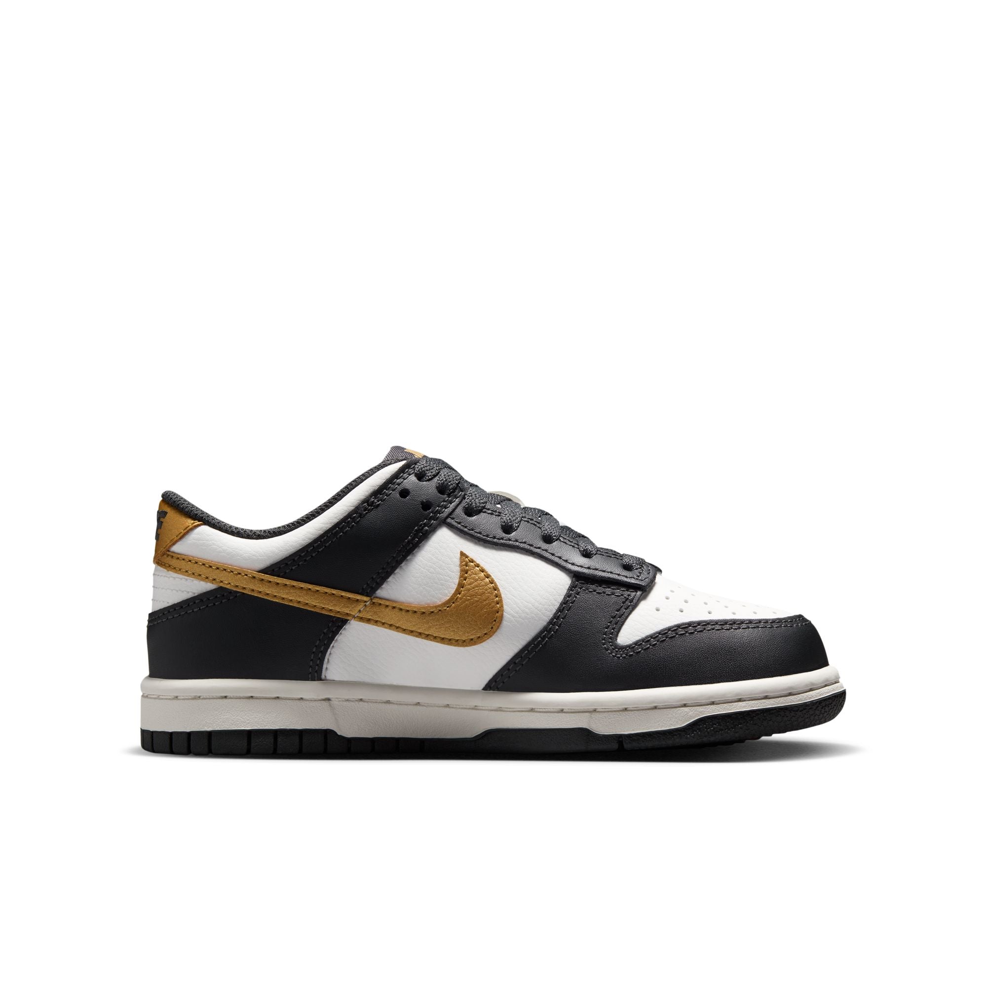 Dunk Low GS