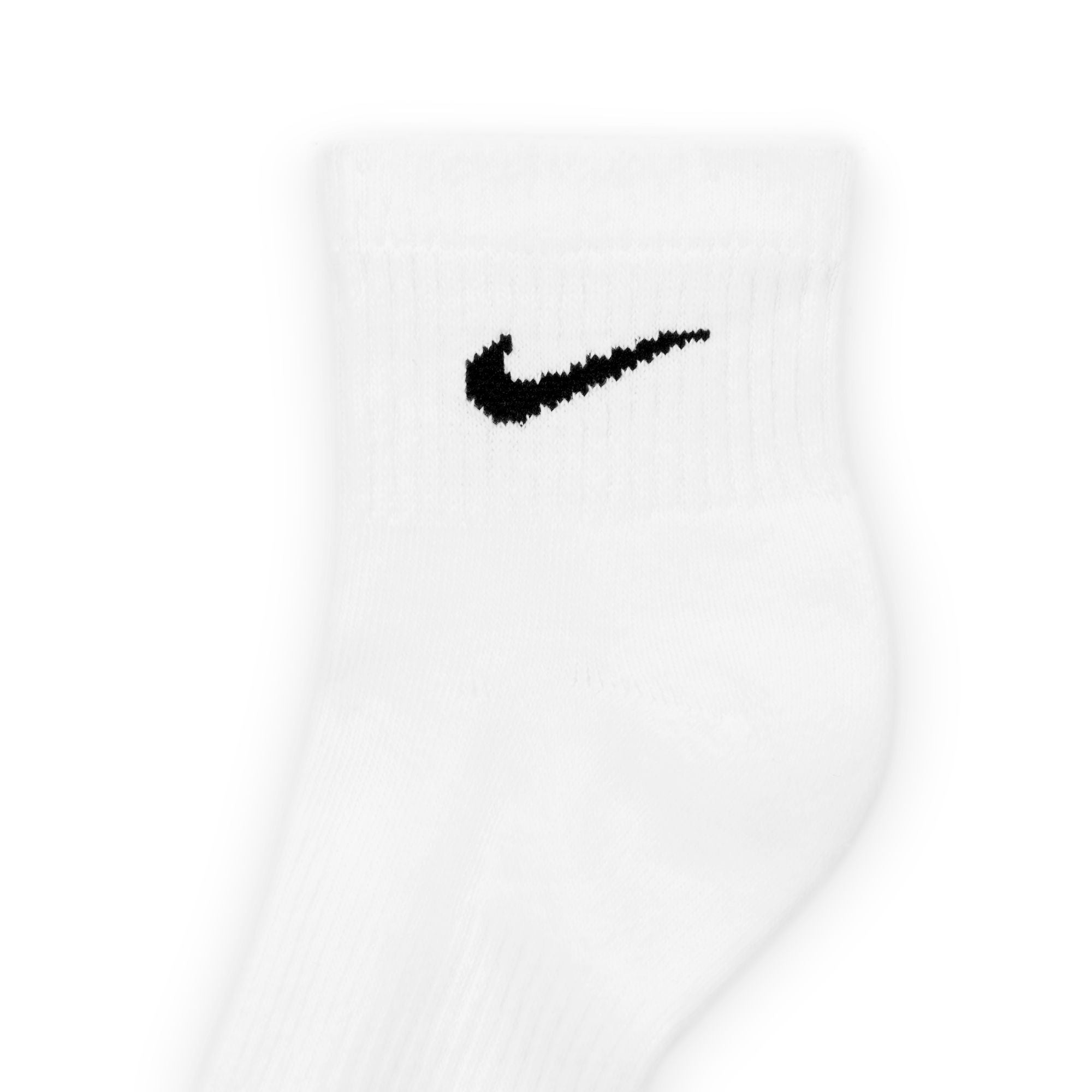 Everyday Plus Cushioned Socks