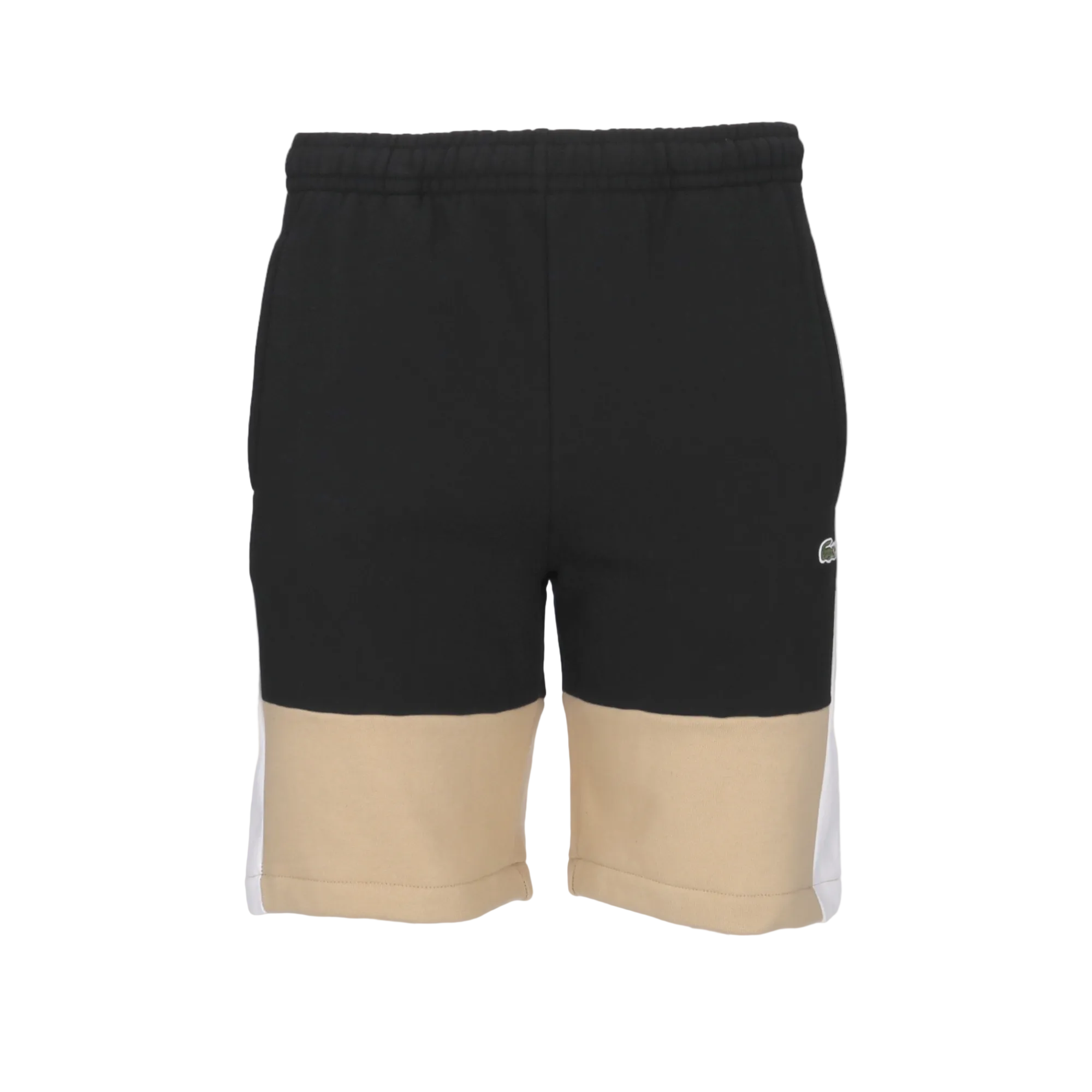 Regular Fit Colorblock Shorts