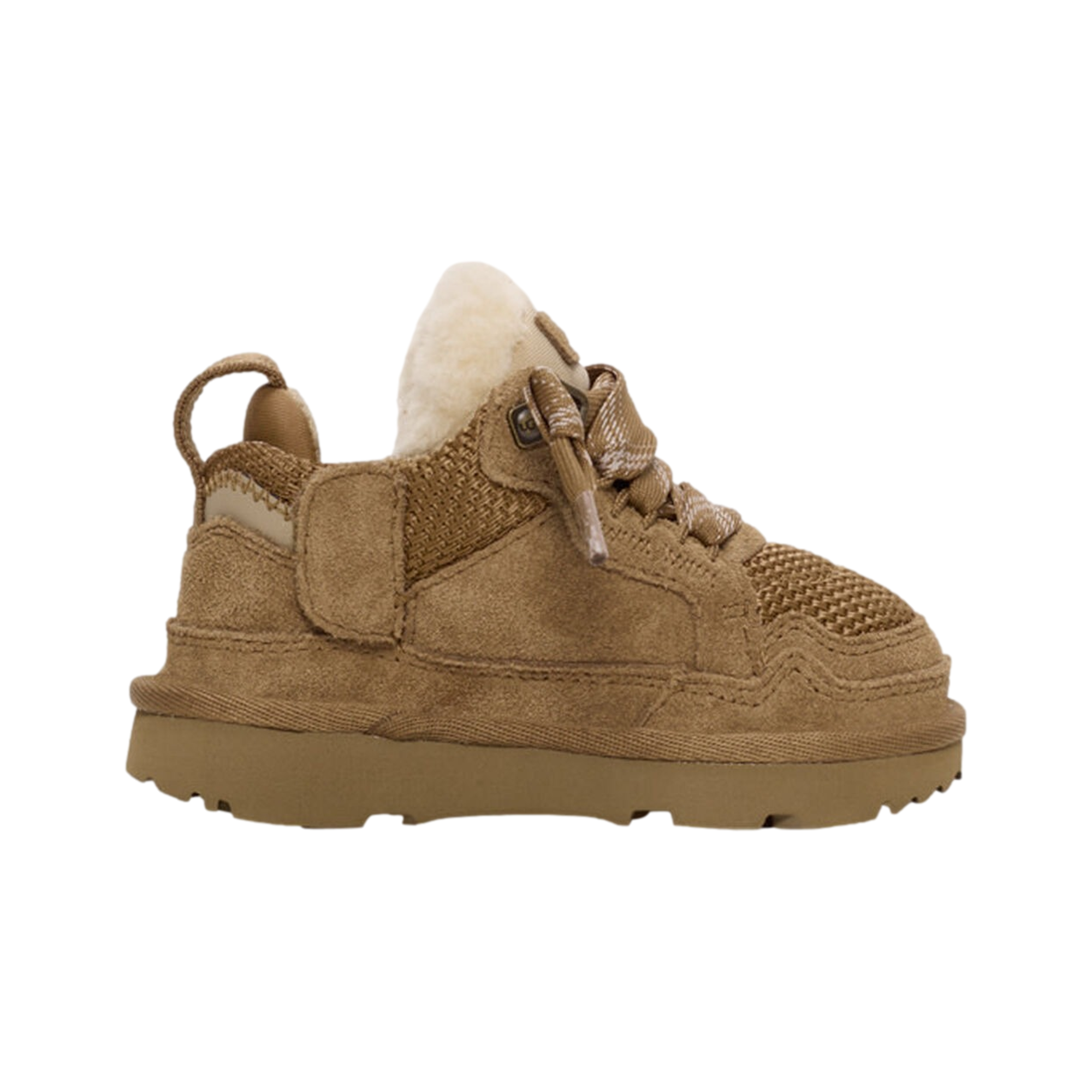 Lo Lowmel Chestnut TD
