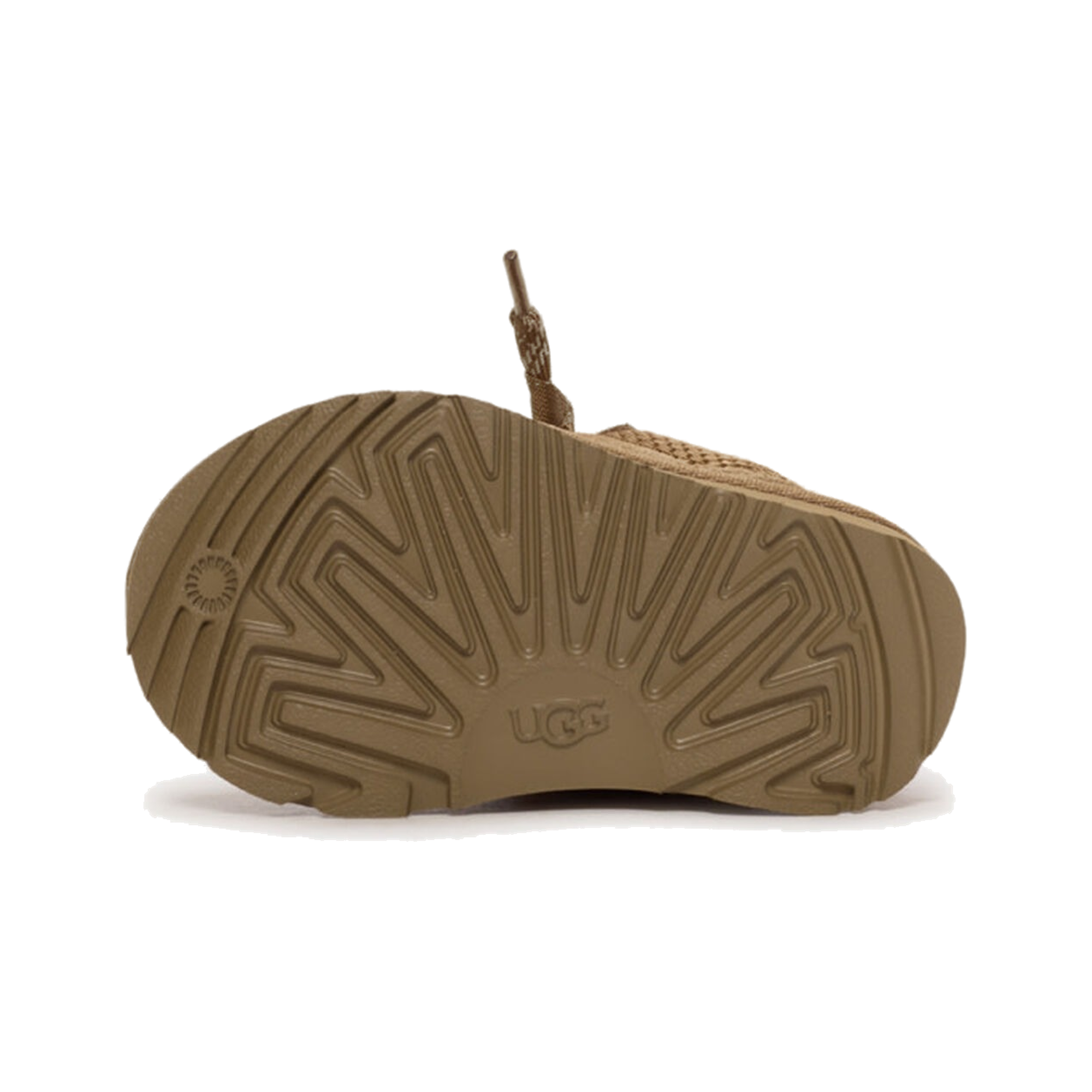 Lo Lowmel Chestnut TD
