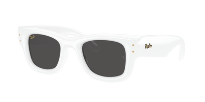 Ray-Ban Wayfarer Puffer by A$AP Rocky