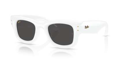 Ray-Ban Wayfarer Puffer by A$AP Rocky