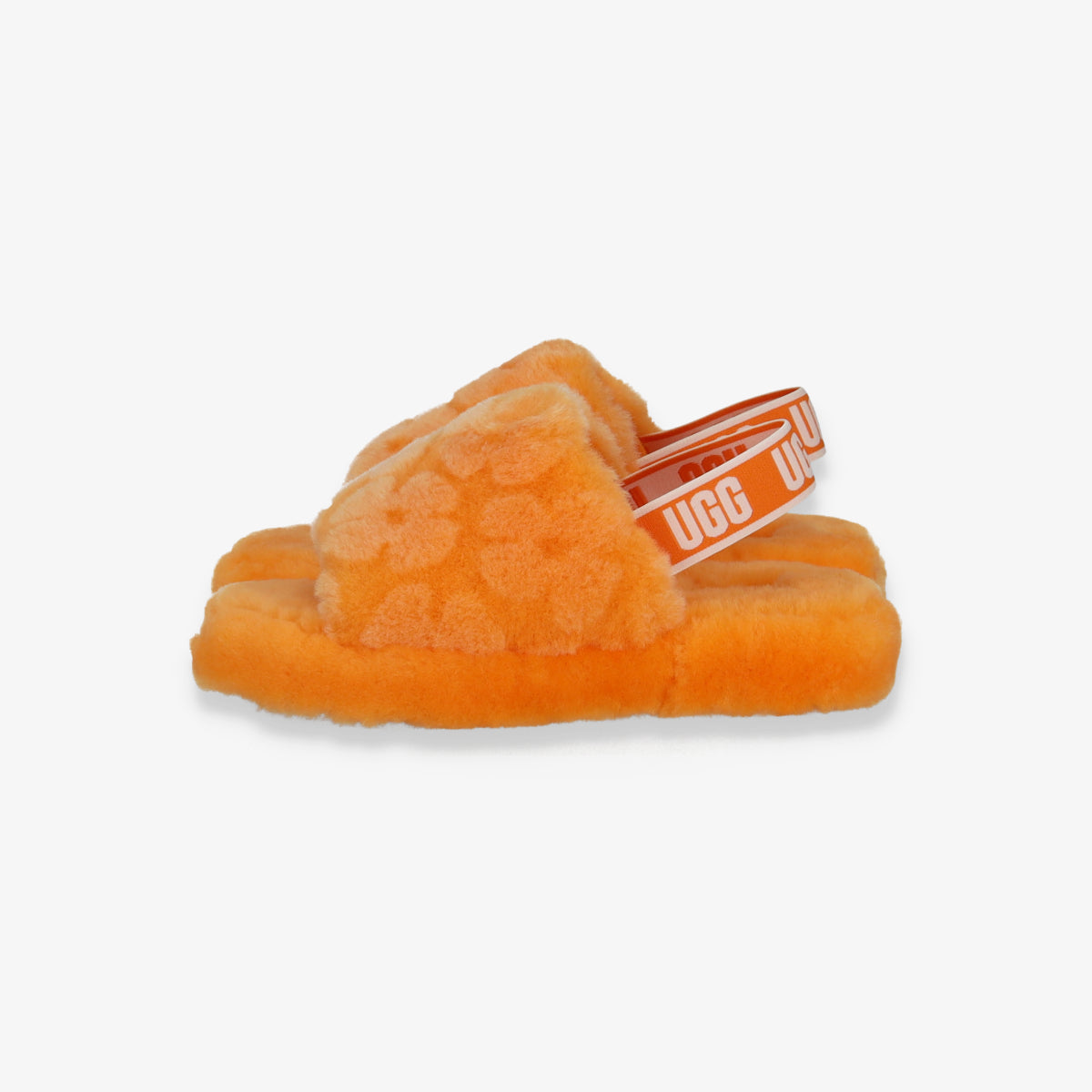 1119839K-CPPP-P.S Fluff Yeah Poppy