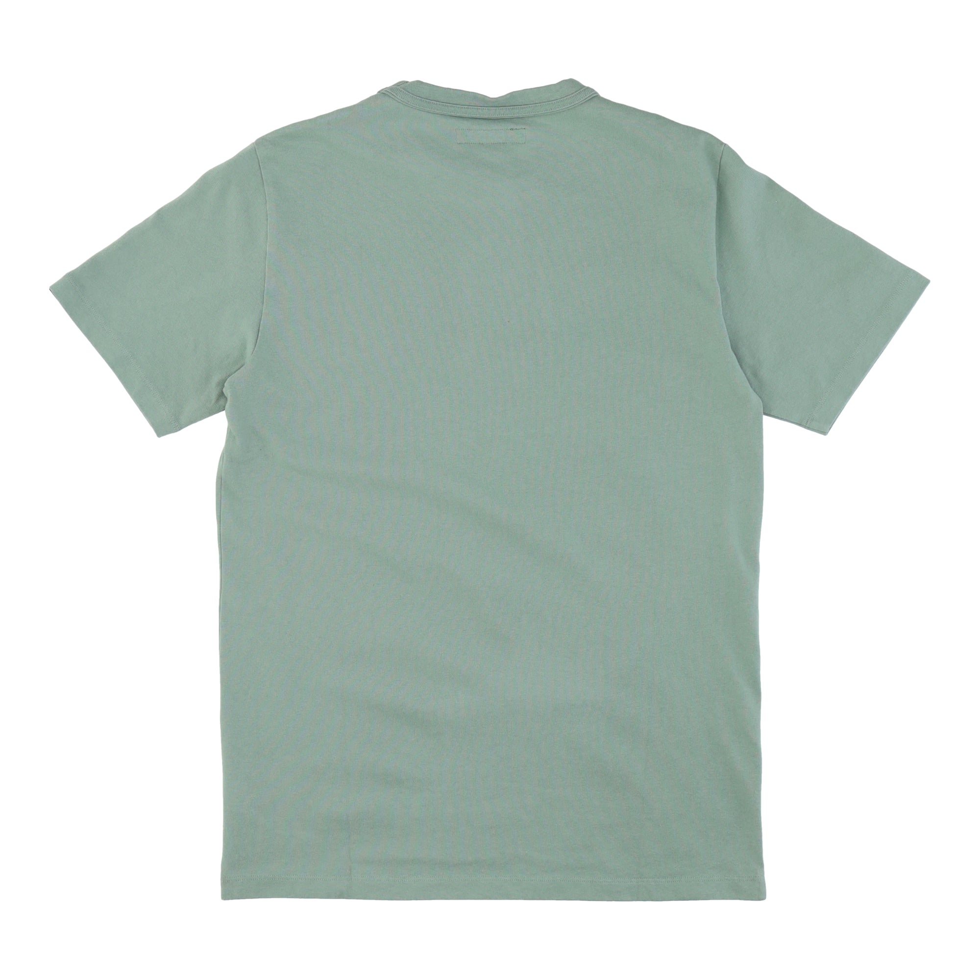 Short Sleeve Lion Crew Neck Green T-Shirt