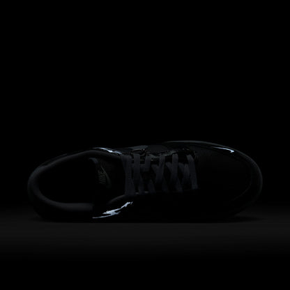 Dunk Low Berlin