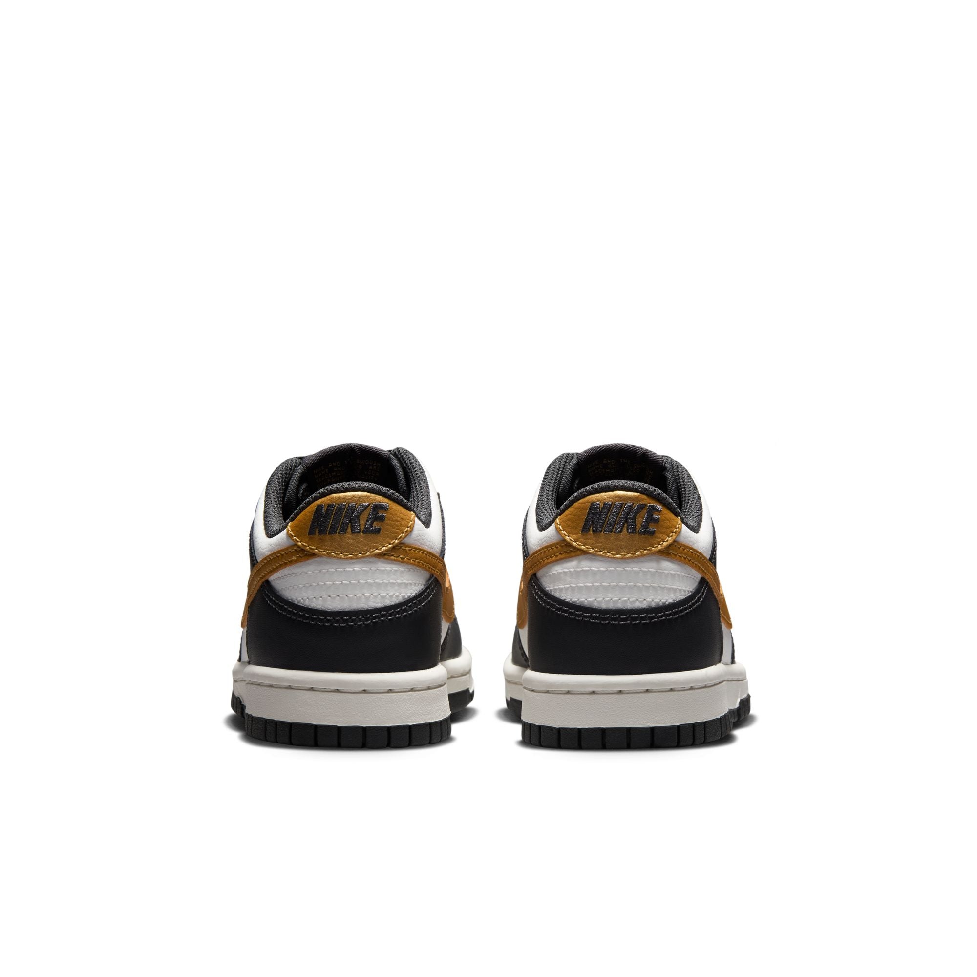 Dunk Low GS