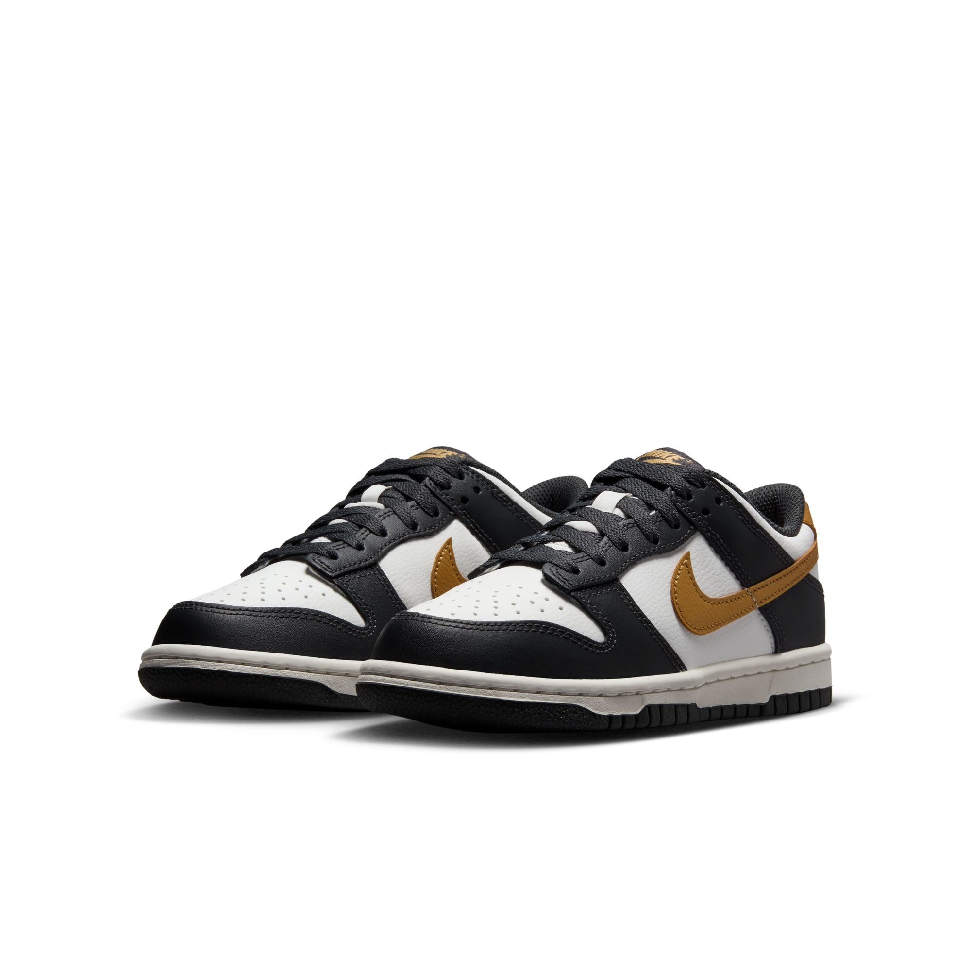 Dunk Low GS