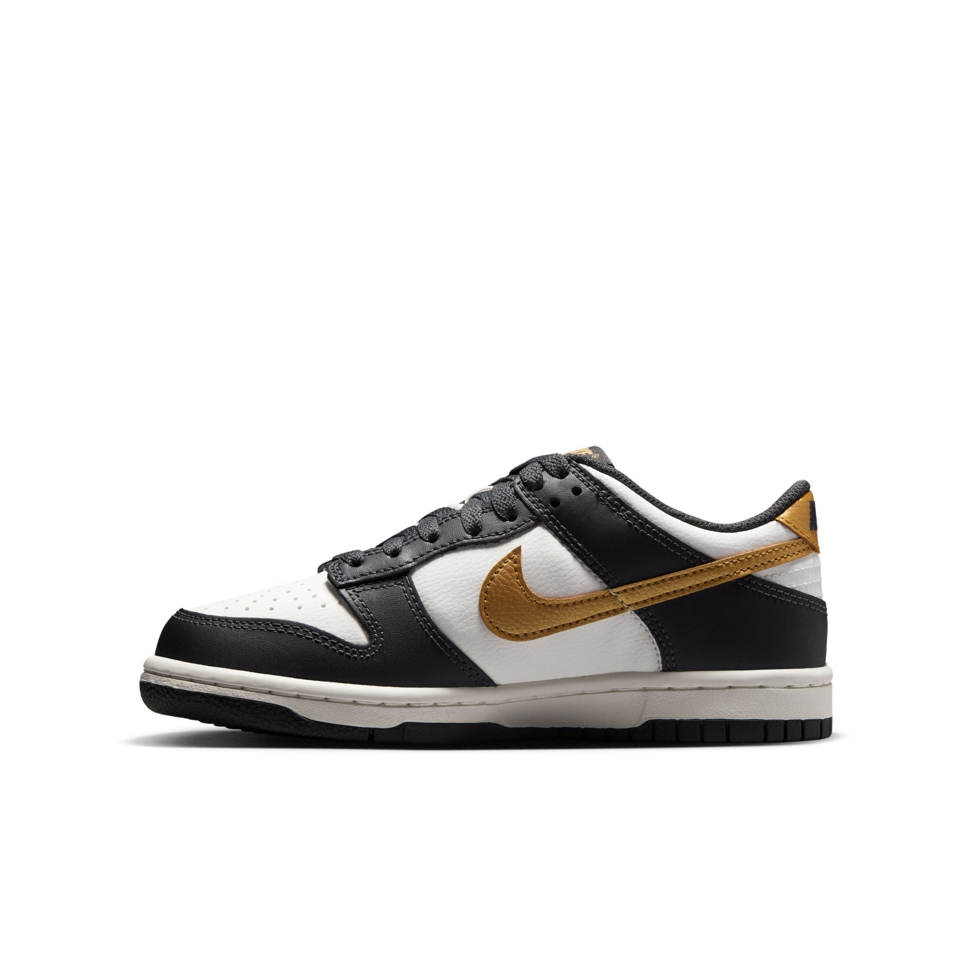 Dunk Low GS