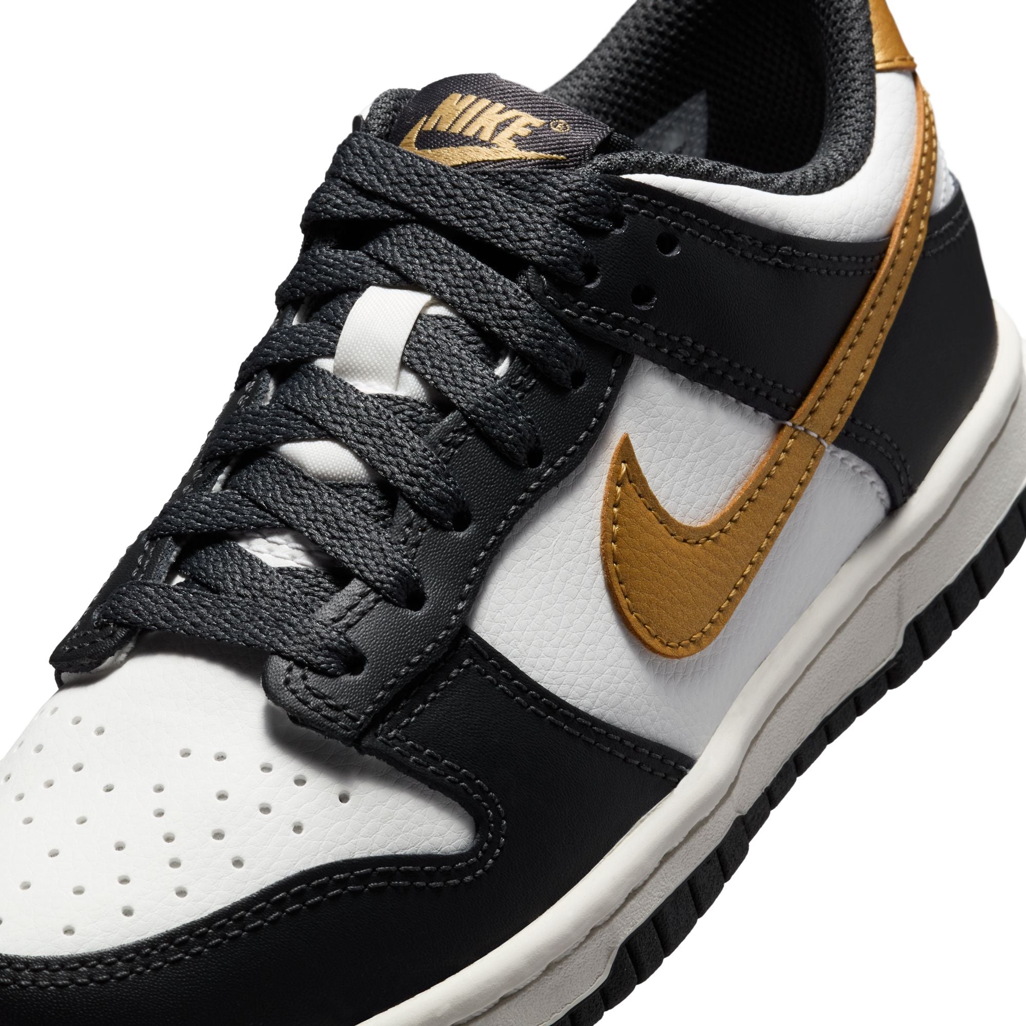 Dunk Low GS