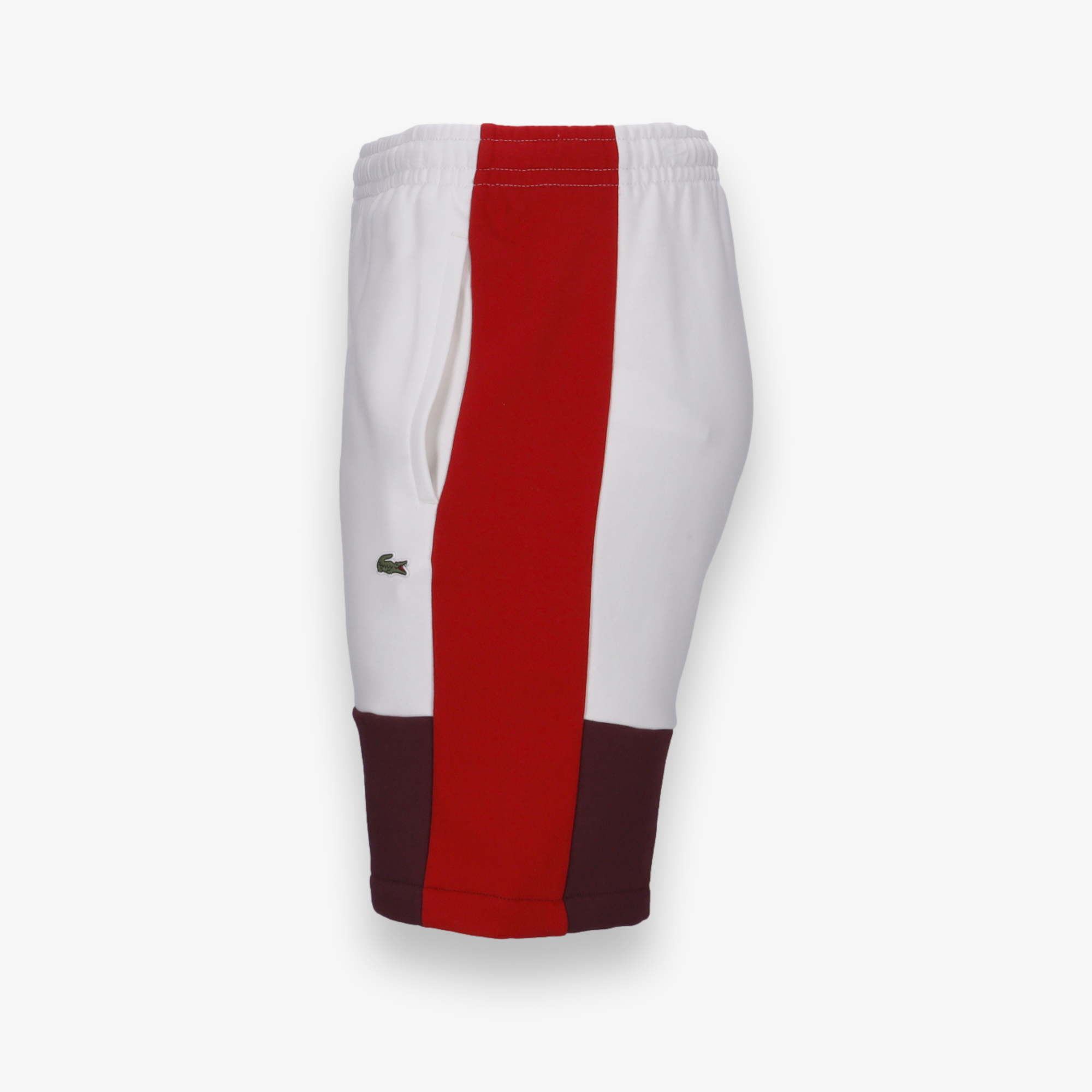 Regular Fit Colorblock Shorts