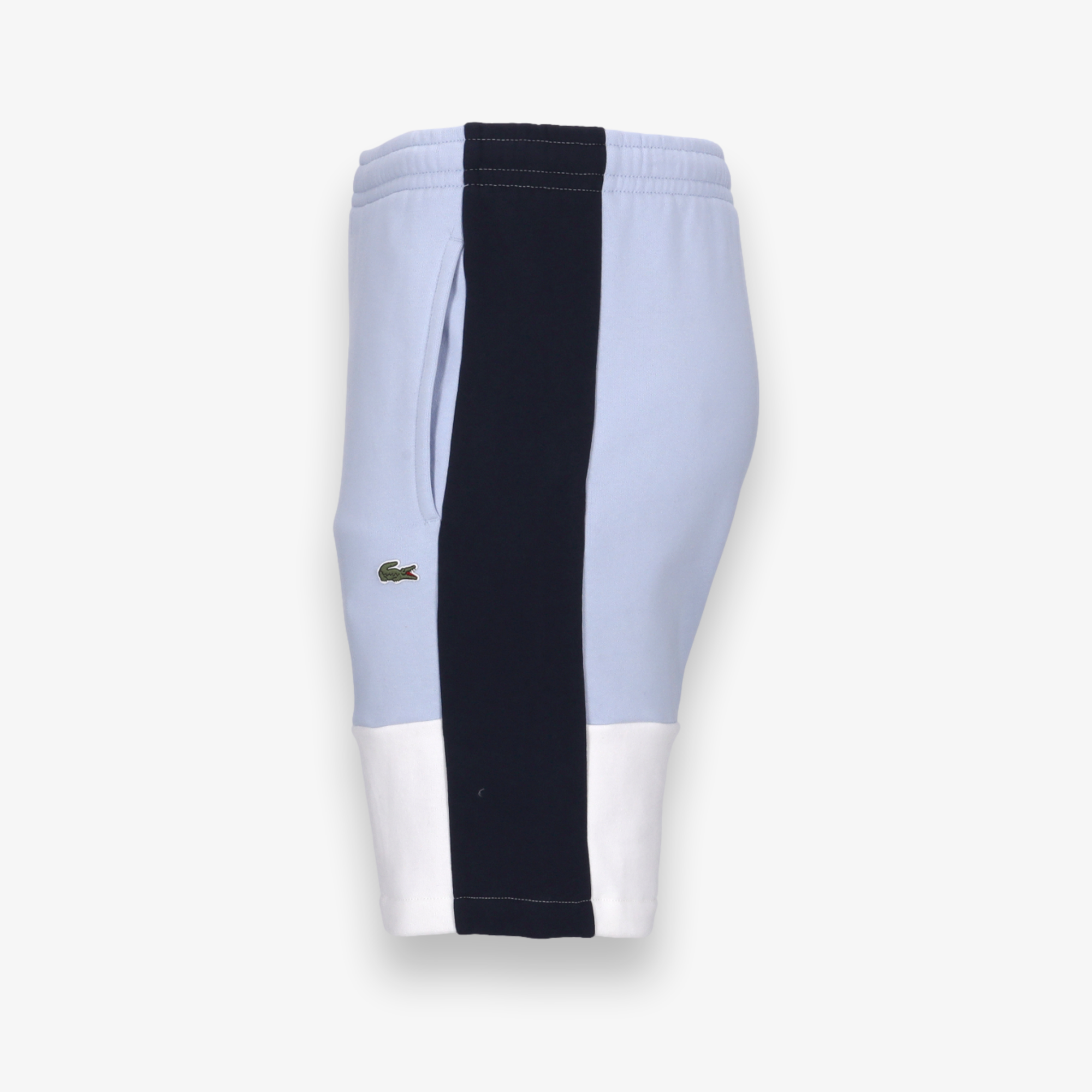 Regular Fit Colorblock Shorts