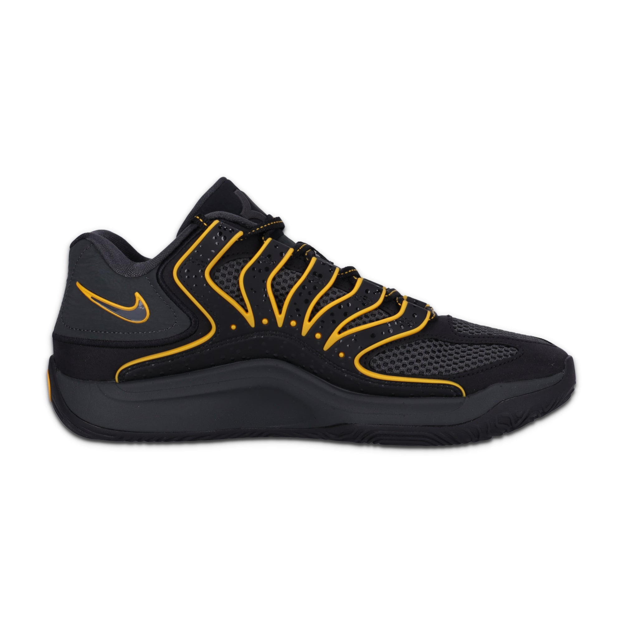 KD 18 Rain City