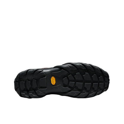 Jaylen Brown Meridian Low Ext