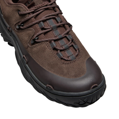 Jaylen Brown Meridian Low Ext