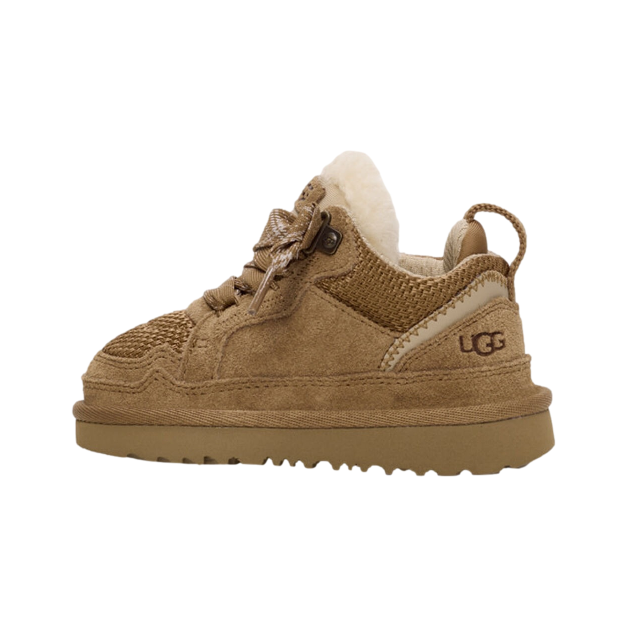 Lo Lowmel Chestnut TD